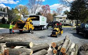 Best Lot and Land Clearing  in Sa De Oro Mount Helix, CA