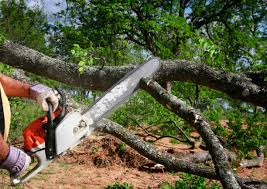 Best Lawn Maintenance Plans  in Sa De Oro Mount Helix, CA